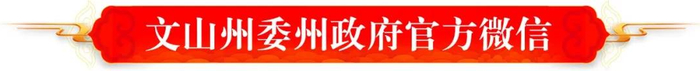 编辑：唐雪娇
