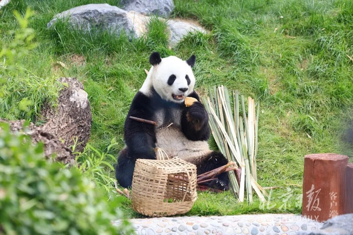 来源