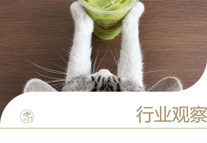 “点一杯，能不能顺便给家里的猫带点草？”
