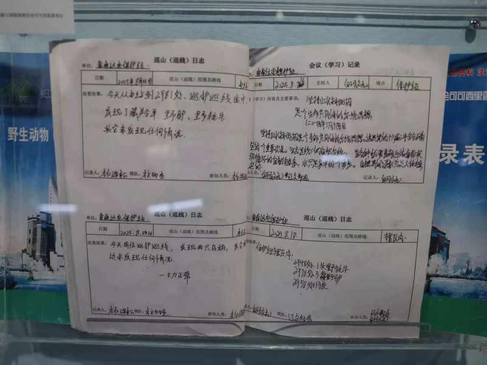 展出的巡山日志。新京报记者 浦峰 摄