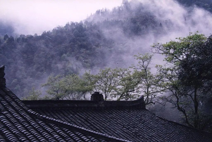 “现在去峨眉山应聘 ，还来得及吗
？”