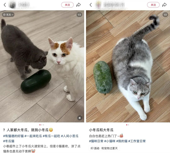 图片来源：社交平台