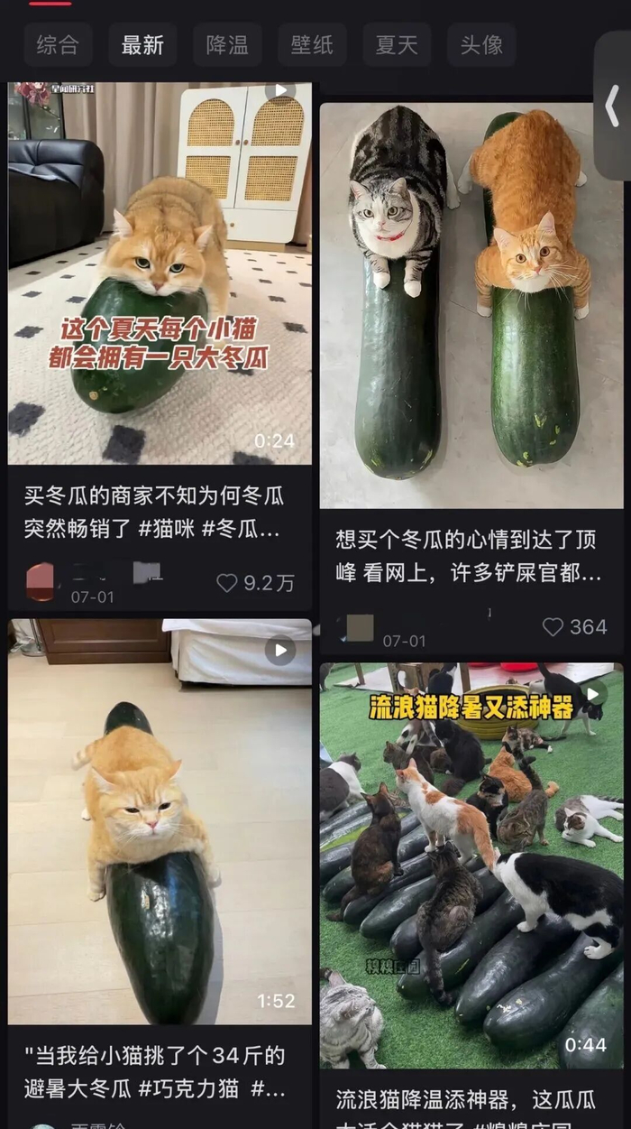 图片来源：社交平台