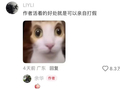 余华“打假”，神回复亮了