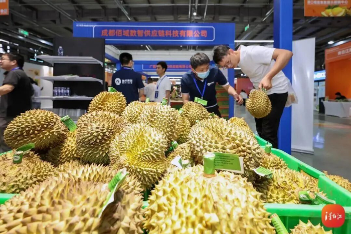 市民选购榴莲。图：成都青白江