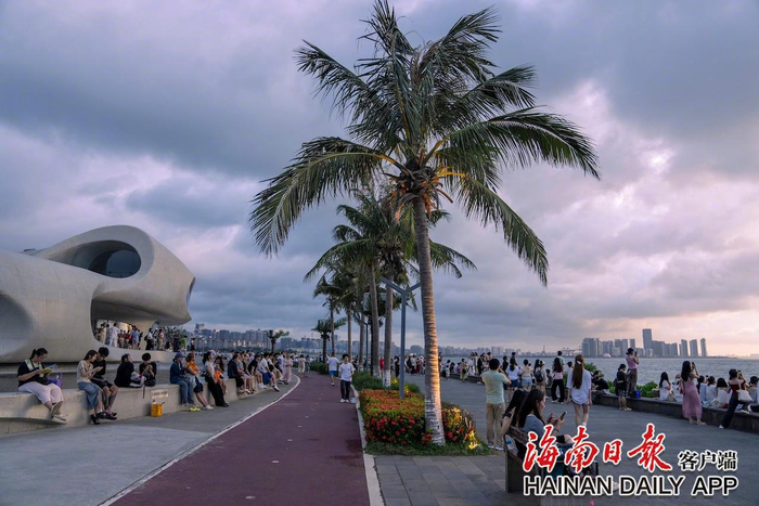 ​市民游客在海口云洞图书馆感受椰风海韵。海南日报全媒体记者 李天平 摄
