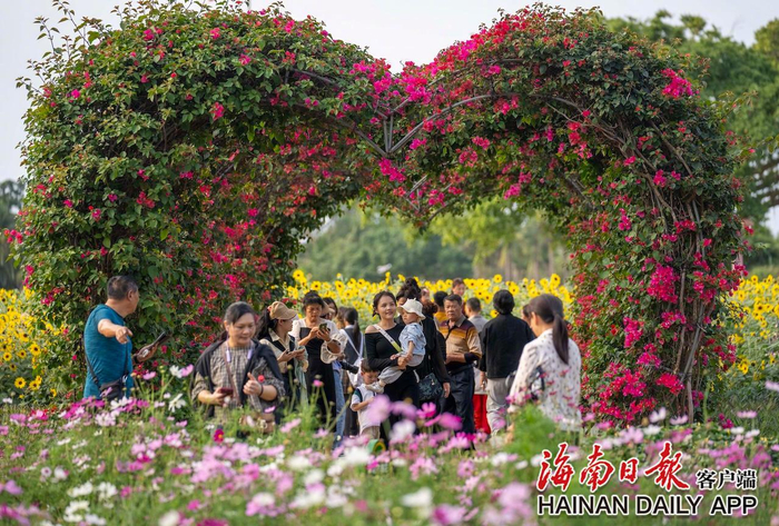 ​市民游客在海口万绿园观赏花海美景。海南日报全媒体记者李天平 摄