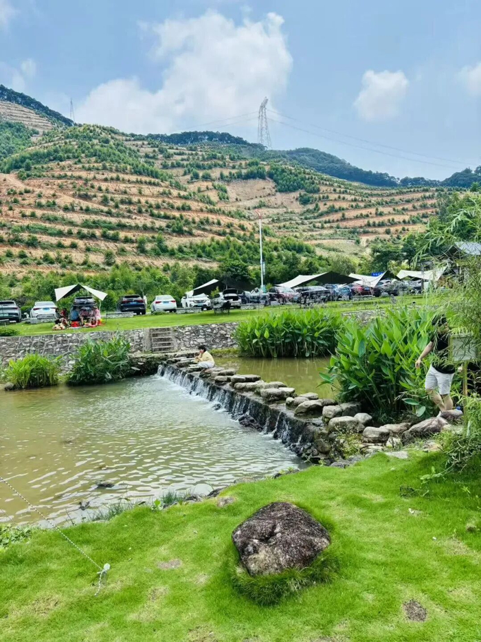 图源：本地宝汤圆