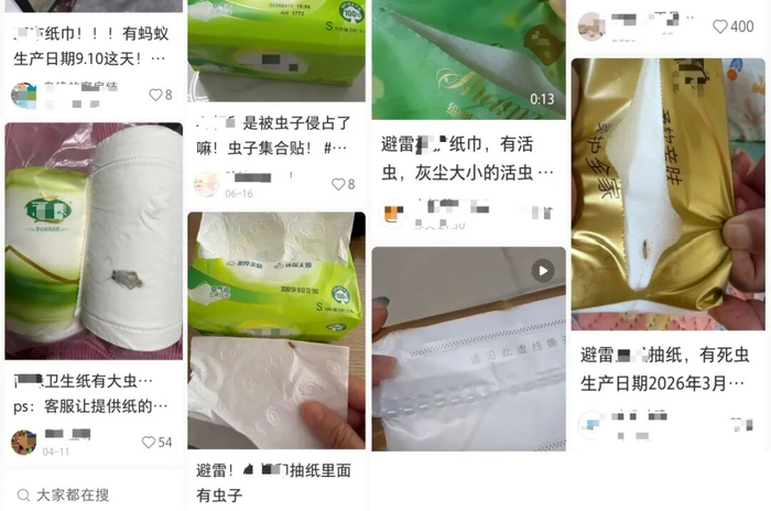 △图源：某社交平台