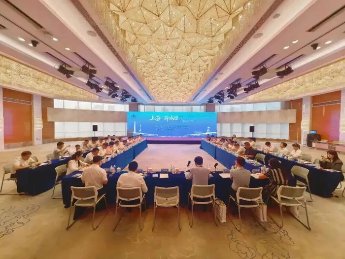 上海·丽水日——特色半导体专场活动现场