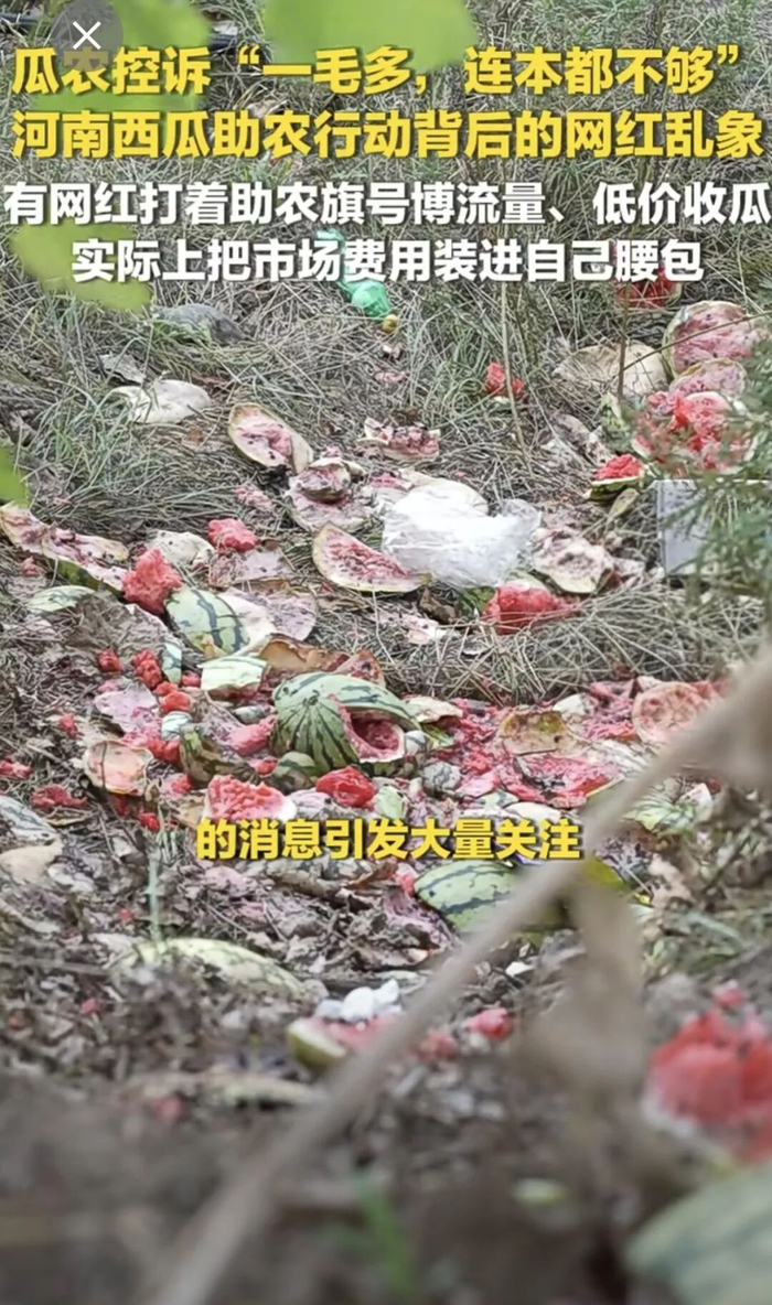 图据网络视频截图