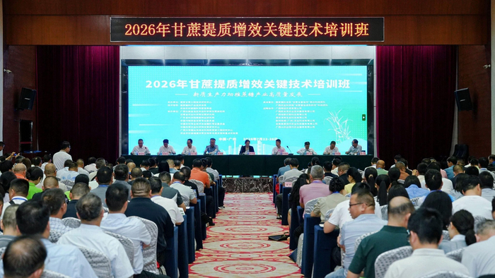 图为活动现场。商显坤 摄