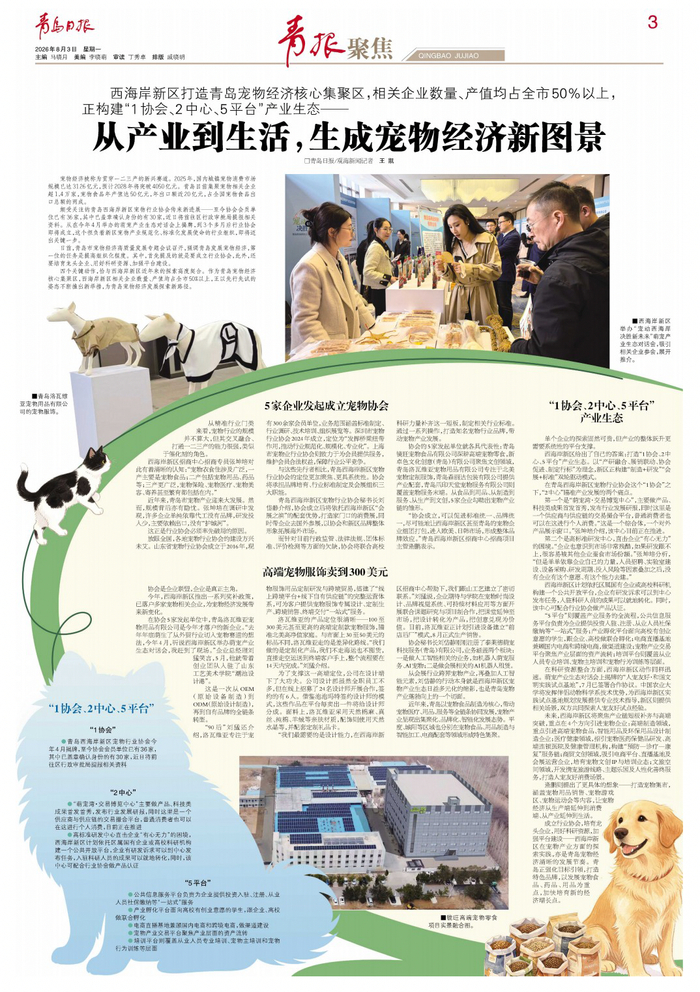 青岛日报2026年8月3日3版