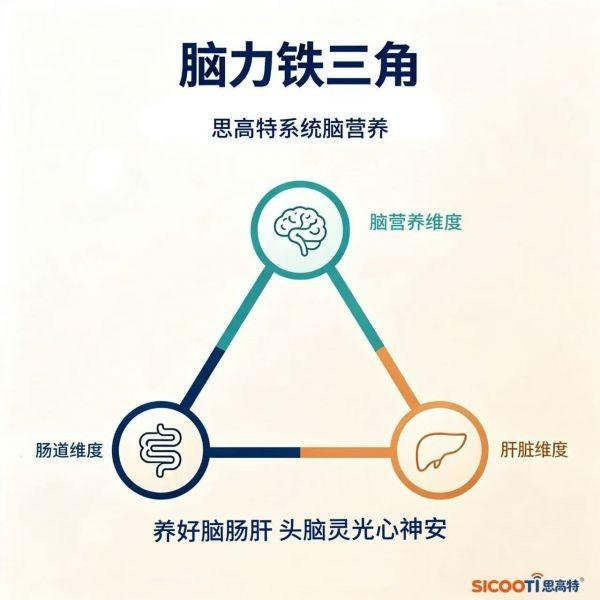 （图2：大脑、肠道、肝脏三者通过脑肠轴、肠肝轴、肝脑轴紧密关联）