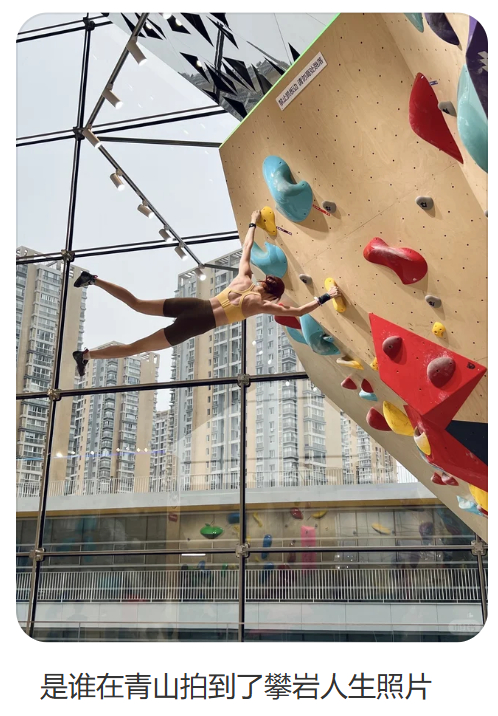 图源：小红书@戴斯踢