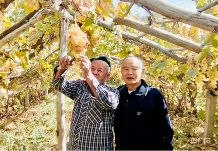 李子兰与阿吉·库尔班在葡萄架下合影 （央广网发 受访者供图）