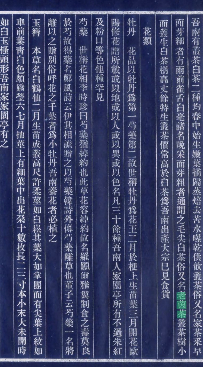 图9 民国《重修南川县志》卷六“植物”——老茵茶条目