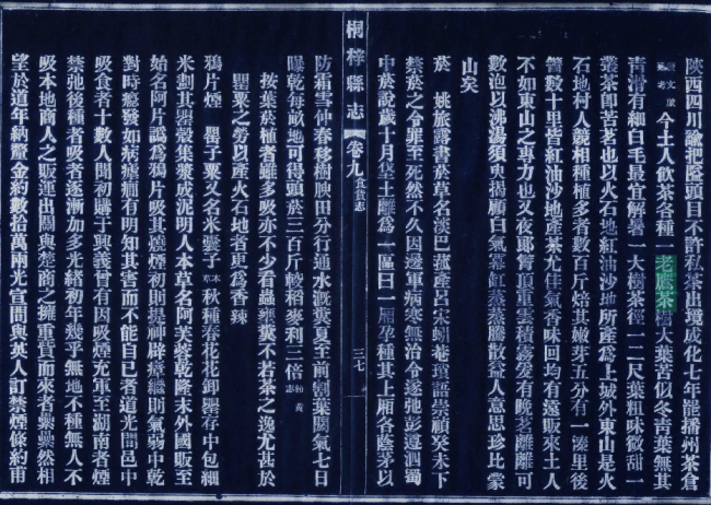 图7 民国《桐梓县志》（李世祚 修）卷九“食货志”续页