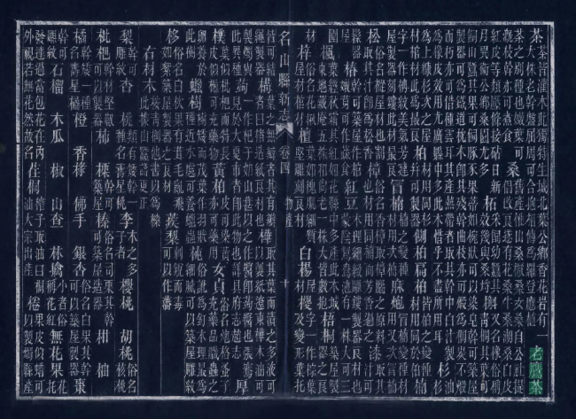 图20 民国《名山县新志》卷四“物产”——老鹰茶条目