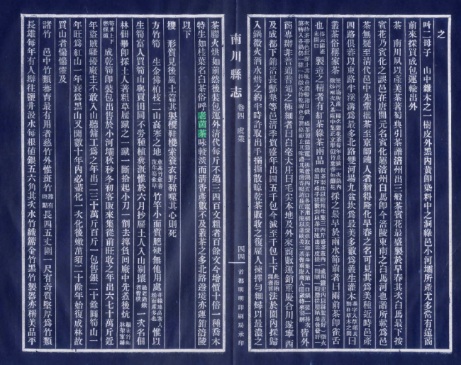 图8 民国《重修南川县志》卷四——“一种乔木特生如桂叶，名白茶，俗呼老茵茶”