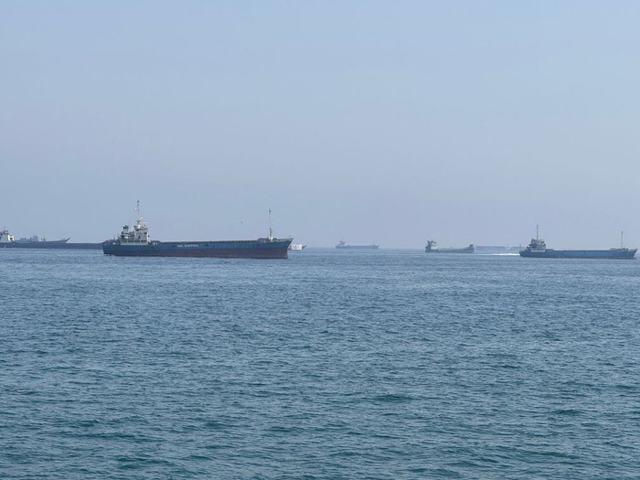   这是5月29日在阿曼北部小镇海塞卜拍摄的滞留在霍尔木兹海峡水域的商船（手机照片）。新华社记者温新年摄