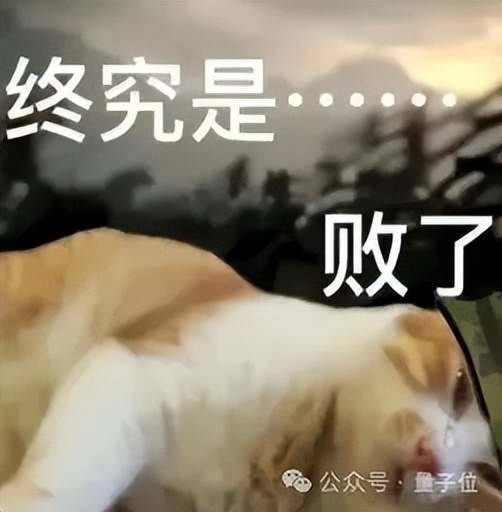 按理说，到这里故事就该结束了，毕竟这可是从1859年悬到现在、无数顶级数学家都没能拿下的终极难题。