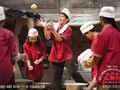 2026暑期档票房超90亿：沈腾主演《欢迎来龙餐馆》仅2天杀入前5