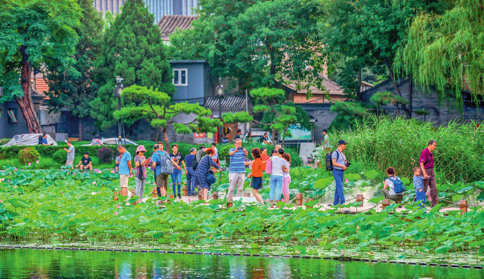 北京什刹海（西海）湿地（资料照片） 受访单位供图