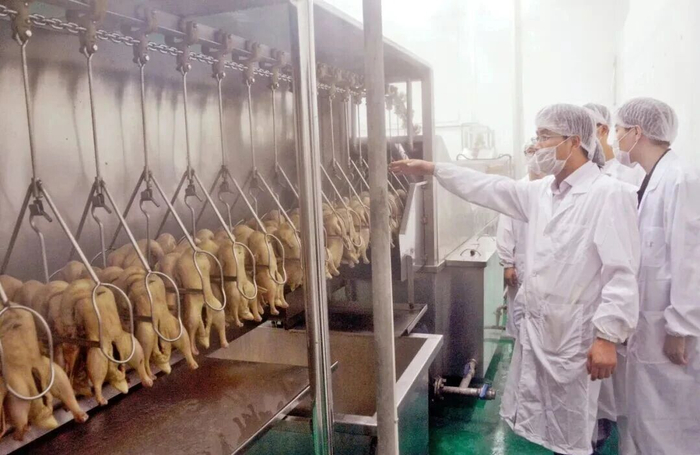 （图为南京黄教授食品科技有限公司烧鸡加工产线）
