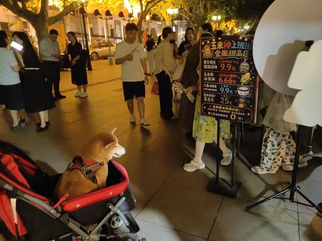 “玉米神上班班”美洲主题夜市 钟菡 摄