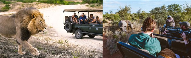 克鲁格国家公园敞篷车Safari,图源:南非旅游局
