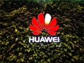 华为向美国惠普授权专利技术：许可部分WiFi专利