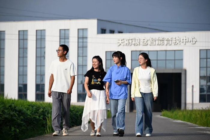 王伶俐（右2）和合作社的小伙伴们