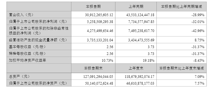 光伏逆变器龙头，业绩承压