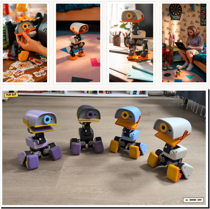 图源：Pollen Robotics 