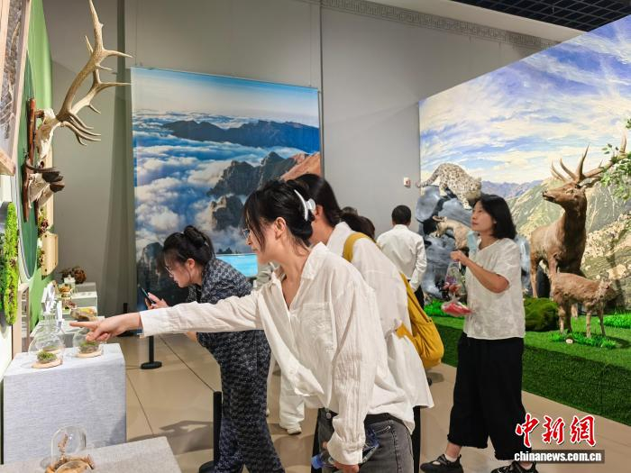 9月4日，内蒙古呼和浩特，贺兰山生态保护成效图片展现场。　中新社记者 陈峰 摄