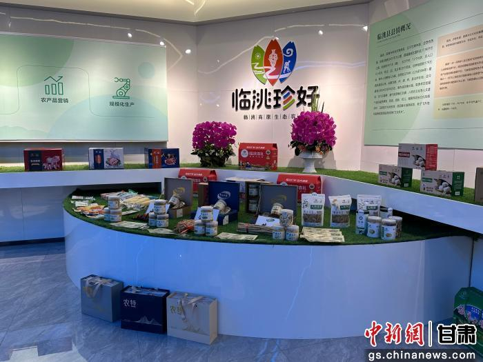 图为展示的“临洮珍好”品牌农特产品。 张婧 摄