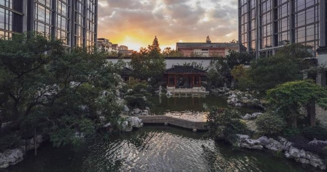 图七:紫芝园实景