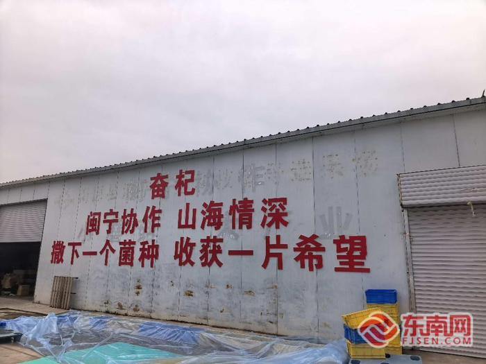 基地墙上写着“撒下一个菌种，收获一片希望”的标语