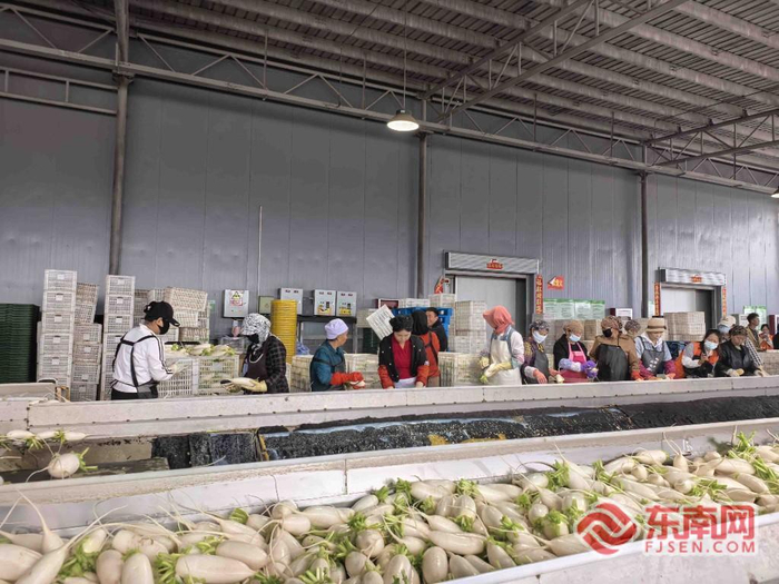 宁夏欣荣海农业发展有限公司分拣中心
