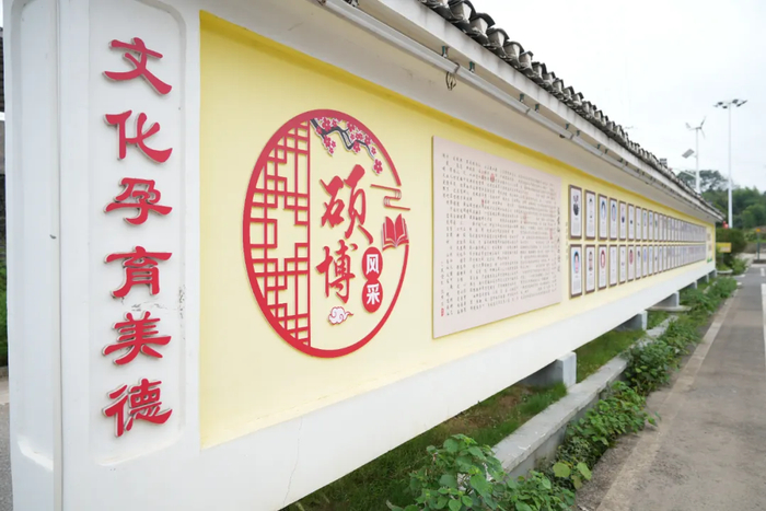 张家仙湖村硕博墙。张佳伟 摄