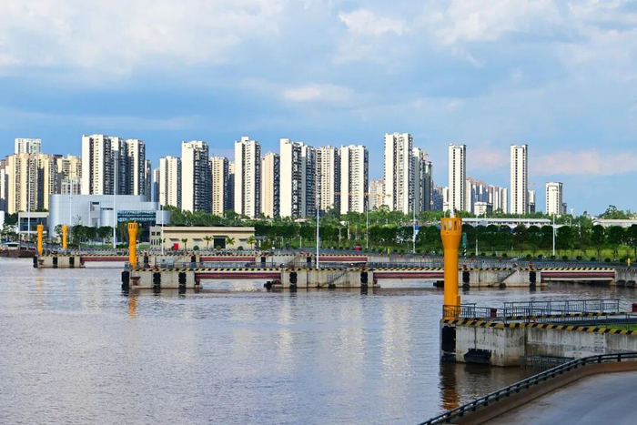 //2026年8月25日，广西钦州市城区段平山岛右岸，平陆运河钦州水上服务区对面，古树得到有效保护（图源：视觉中国）