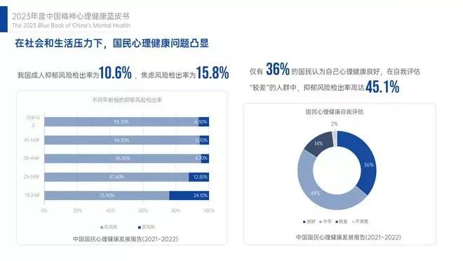 （图源：2023年度中国精神心理健康蓝皮书）
