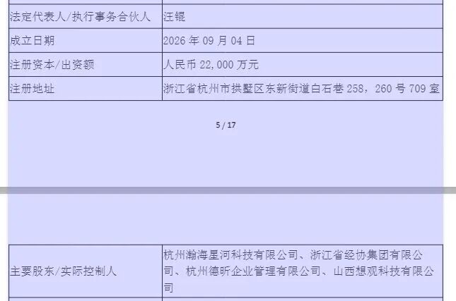 图片来源：公告截图