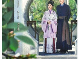 缓慢生长,兰香如故