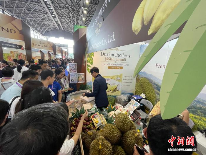 　　9月18日，第23届中国-东盟博览会上泰国榴莲备受关注。中新社记者 缪超 摄