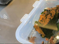 自然奇趣志|科研团队千里迢迢来连就为找这种“返老还童”的生物