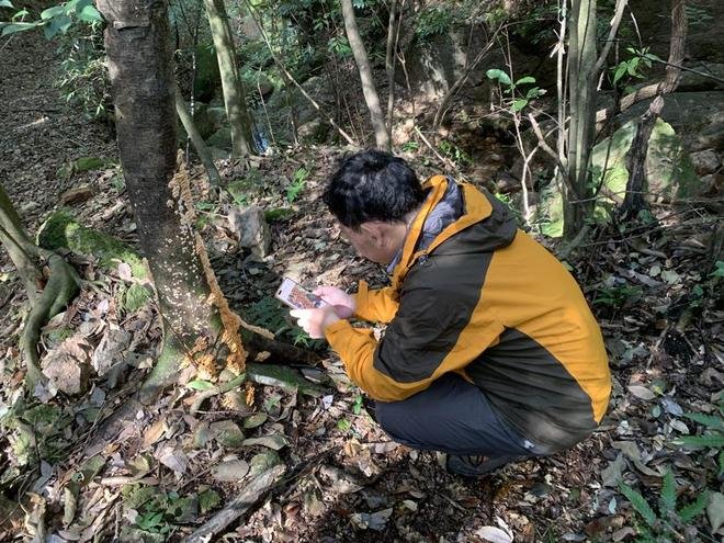 研究团队采集黄山大型真菌标本（市农科院供图）