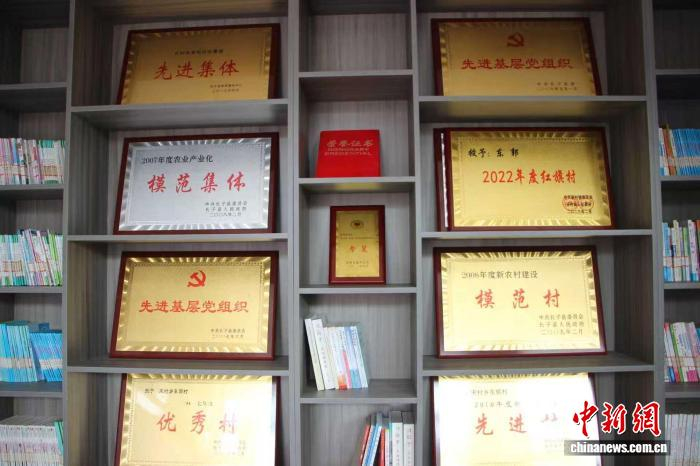 东郭村建成省级乡村振兴示范村。刘盼摄