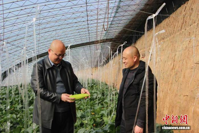 杜旭东深入田间地头摸排产业底数，走访农户收集发展诉求，梳理产业发展短板，明确蔬菜产业提质升级路径。刘盼摄